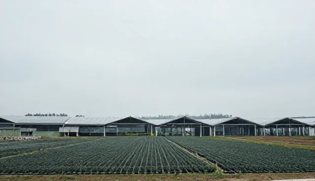 宣传片制作中视频剪辑的选型关注点与处理方向